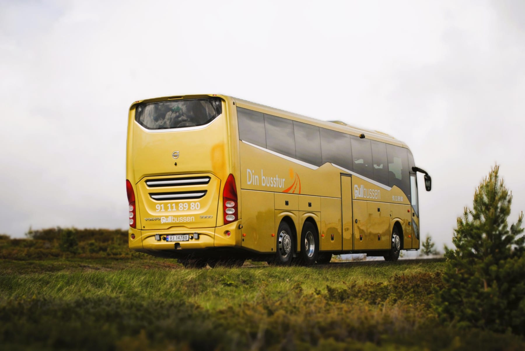 Gullbussen bakfra, med Din Busstur-profilering